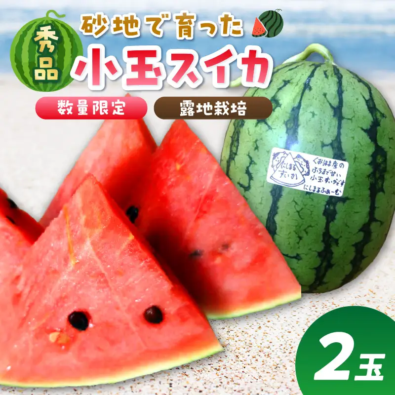 【先行予約／数量限定200】スイカ にしまるスイカ 秀品 2玉｜2026年7月中旬から発送