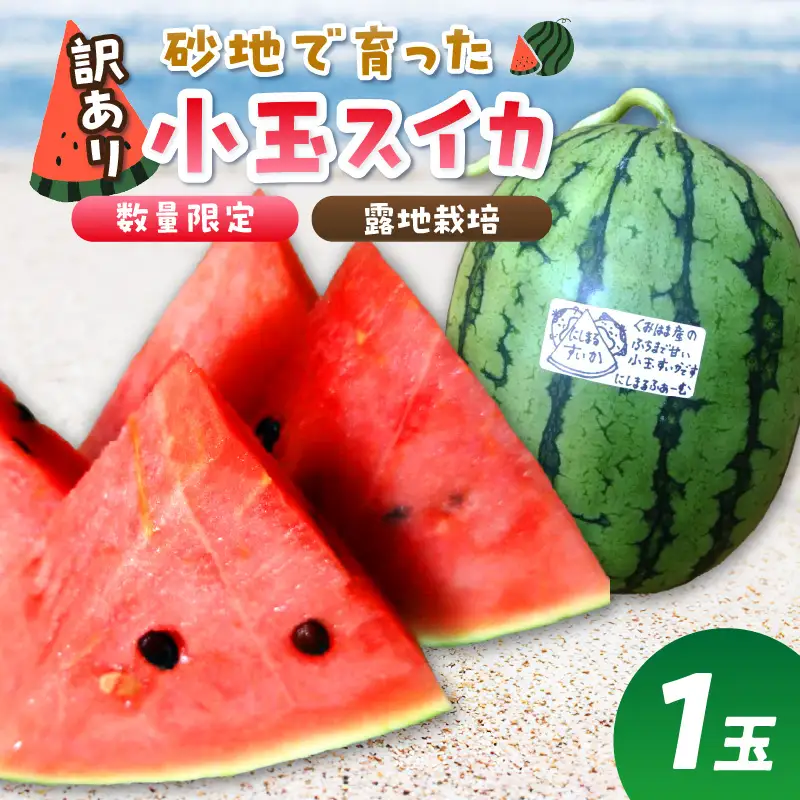  【先行予約／訳あり】にしまるスイカ 1玉 露地栽培 小玉スイカ フルーツ 26年7月～