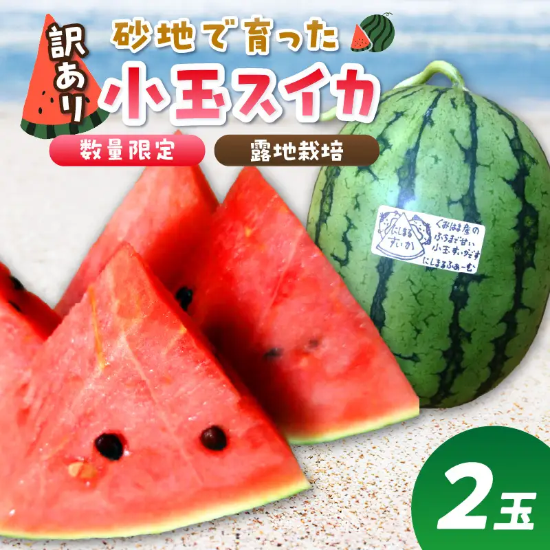 【先行予約／数量限定200】にしまるスイカ 訳あり 2玉入り（露地栽培）（2026年7月中旬から発送）