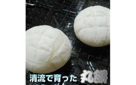 丸餅約2kg(48個)1個約40g～45g【無添加】【つき餅】お祝い お供え 自宅用 ※着日指定不可 ※離島への配送不可