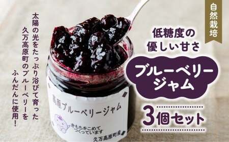 【自然栽培】農園こだわりのブルーベリージャム3個セット ｜ 愛媛県 久万高原町 廣瀬農園 高原栽培 国産 フルーツ ベリー ジャム 手作り 果肉感 果実たっぷり スムージー ヨーグルト 朝食 ビタミンC 食物繊維 プチギフト プレゼント お菓子作り ナチュラル 砂糖控えめ