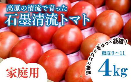 【家庭用】石墨清流 トマト 4kg｜糖度9～11度 そのままでも 美味しい 久万高原町 トマト とまと 自然栽培 野菜 カレー トマトソース 濃縮 ヒナタ 安心 酸味 甘味 清流 料理 農家 旨み サンドイッチ 新鮮 煮込み 料理 アレンジ 美味しい 手作業 人気 ギフト プレゼント 自然 小長谷勝也 愛媛 ※離島への配送不可 ※2026年7月下旬頃より順次発送予定