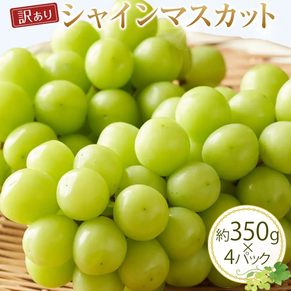 【先行予約】【 訳あり 】 シャインマスカット 350g 前後×4パック ※2026年8月下旬頃～9月下旬頃に順次発送予定【シャインマスカット 葡萄 ぶどう フルーツ 果物 鳥取県 北栄町 おすすめ 人気】