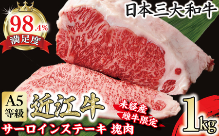 近江牛 サーロイン ステーキ 塊肉 1kg 折箱入 【FO37W】 牛肉ステーキ