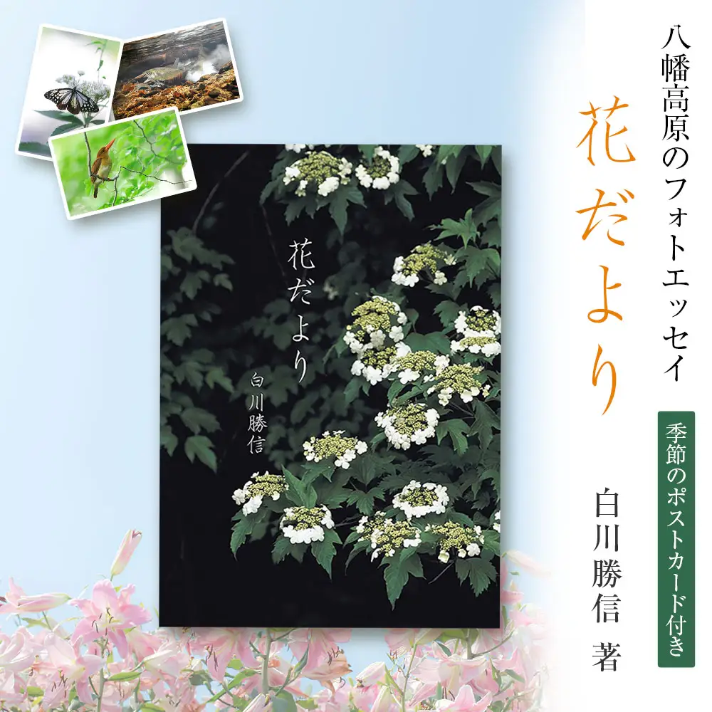 八幡高原のフォトエッセイ『花だより』（季節のポストカード付き）_NI022_002