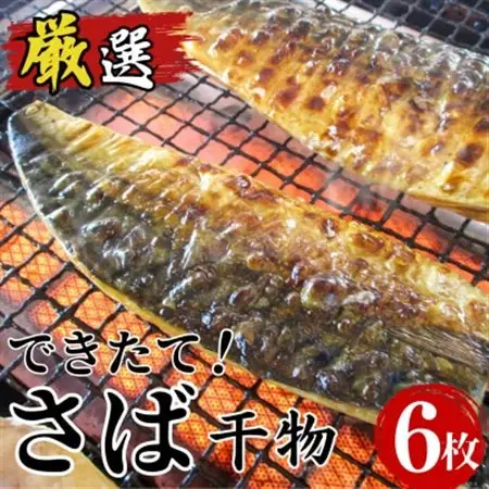 できたて干物!!さば6切れ_魚介・海産物  干物 _【配送不可地域：離島】【1539826】