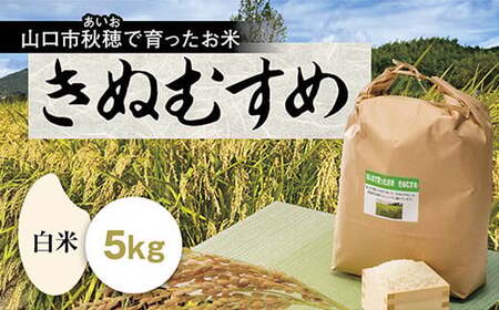 D417 あいお（秋穂）で育ったお米 きぬむすめ 白米 5kg