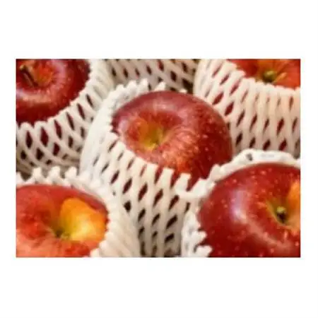 【2026年発送】フルーツ王国　長野県産 りんご　紅玉(こうぎょく)約1.5kg(3～5玉程度)【1541923】