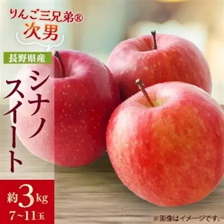 【2026年発送】フルーツ王国　長野県産 りんご　シナノスイート　約3kg(7～11玉程度)【1541938】