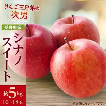 【2026年発送】フルーツ王国 長野県産 りんご　シナノスイート　約5kg(10～18玉程度)【1541939】