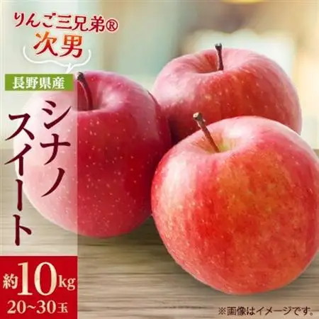 【2026年発送】フルーツ王国　長野県産  りんご　シナノスイート　約10kg(20～30玉程度)【1541941】