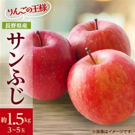 りんごの王様　長野県産 りんご　サンふじ　約1.5kg(3～5玉程度)【1541942】