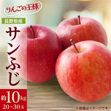 りんごの王様　長野県産 りんご　サンふじ　約10kg(20～30玉程度)【1541947】