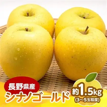 長野県産 りんご　シナノゴールド　約1.5kg(3～5玉程度)【1541949】