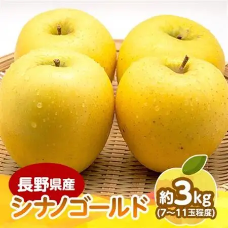 長野県産 りんご　シナノゴールド　約3kg(7～11玉程度)【1541951】