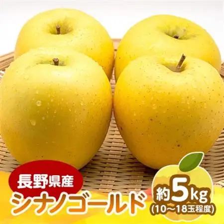 長野県産 りんご　シナノゴールド　約5kg(10～18玉程度)【1541953】