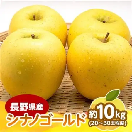 長野県産 りんご　シナノゴールド　約10kg(20～30玉程度)【1541955】