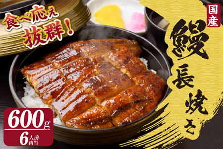 国産特大うなぎ長焼き３尾(約２００ｇ)　合計約６００ｇ（1664）