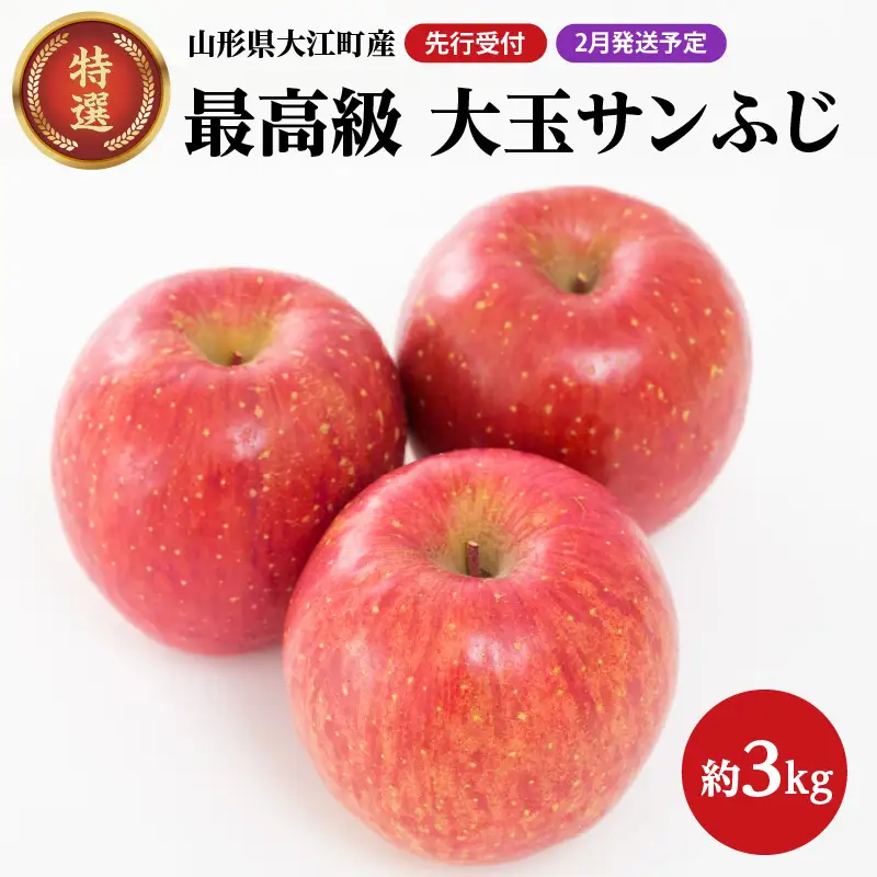《先行受付》【2027年2月発送予定】 最高級 特選大玉サンふじ約3kg 【大江町産・山形りんご・大地農産】 028-031
