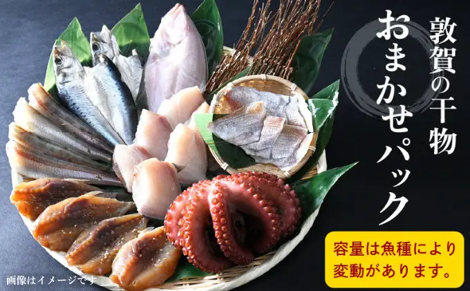 敦賀の「干物詰め合わせセット」[051-a011] 