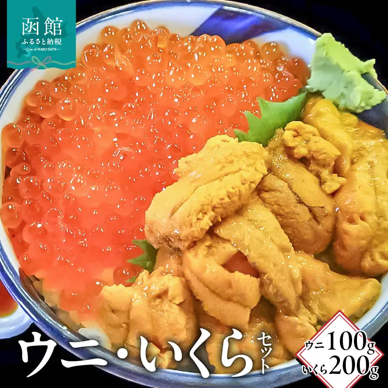 塩水ウニパック100g・いくら醤油漬200g 塩水うに うに いくら イクラ?油漬け 海鮮 おつまみ 北海道 函館市 ふるさと納税 お取り寄せ 送料無料_HD149-022