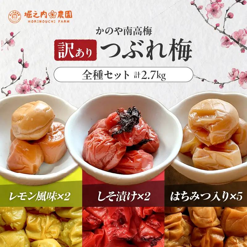2588 ＜訳あり＞ つぶれ梅 梅干し かのや南高梅 食べ比べ F （はちみつ梅×5、しそ梅×2、レモン風味×2） 計9袋 ×300g （計2.7kg） KN033-007-03