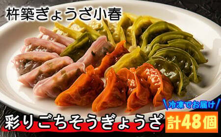 杵築ぎょうざ小春の彩りごちそうぎょうざ4種食べ比べセット（各12個 計48個）冷凍 餃子 人気 国産 ぎょうざ ギョーザ ＜152-003＞