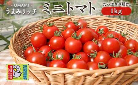 ＜特別栽培農産物＞ファームサイドのこだわりミニトマト 1kg 野菜 特別栽培 農産物 サラダ ピクルス 炒め物 食品 本庄産 関東 F5K-509