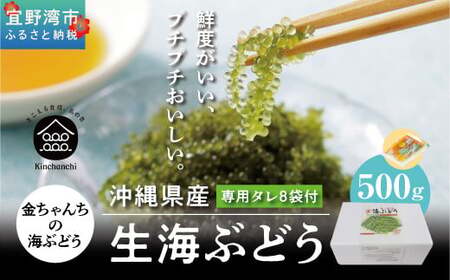 【沖縄県産】生海ぶどう 500g