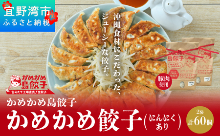 かめかめ島餃子 (豚肉・にんにくあり) 30個 × 2袋 | 包みたて 工場直売 餃子 シママース | 簡単調理 手軽 | 餃子 豚肉 出汁 沖縄 お取り寄せ グルメ 冷凍 にんにく