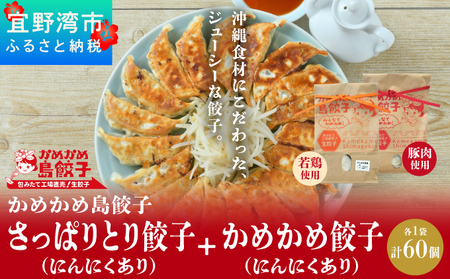 かめかめ島餃子 (豚肉・やんばる若鶏/にんにくあり) 30個 × 2袋 | さっぱりとり餃子(若鶏・にんにくあり) かめかめ餃子(豚肉・にんにくあり) | 包みたて 工場直売 餃子 シママース | 簡単調理 手軽 | 餃子 豚肉 鶏肉 出汁 沖縄 お取り寄せ グルメ 冷凍