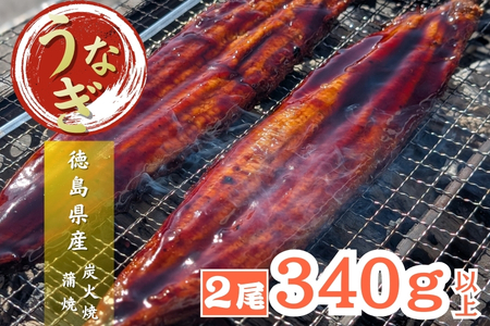 【徳島県産】美波町の森が育んだ「樵木（こりき）備長炭」で焼き上げる。外はパリッ、中はふっくら。職人手焼きの極上うなぎ（大きめ2尾）ふるさと納税 うなぎ 鰻 蒲焼 国産 徳島県 美波町 炭火焼 備長炭 手焼き 大きめ 高級 絶品 お取り寄せ ギフト 土用の丑 SDGs サステナブル 環境保全 伝統　ウナギ