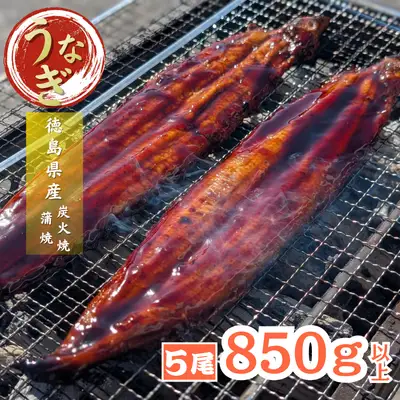 【徳島県産】美波町の森が育んだ「樵木（こりき）備長炭」で焼き上げる。外はパリッ、中はふっくら。職人手焼きの極上うなぎ（大きめ5尾）ふるさと納税 うなぎ 鰻 蒲焼 国産 徳島県 美波町 炭火焼 備長炭 手焼き 大きめ 高級 絶品 お取り寄せ ギフト 土用の丑 SDGs サステナブル 環境保全 伝統　ウナギ