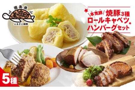 本気豚焼豚3種・ロールキャベツ・ハンバーグセット　5種