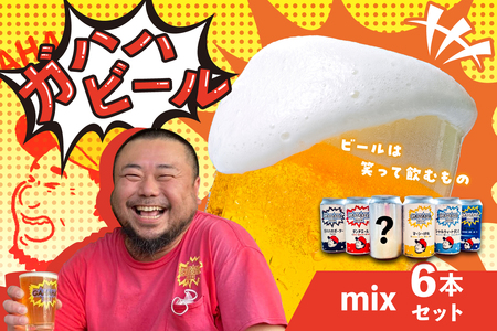 ガハハビールmix６本セット（ダンチエール、マーシーIPA、シャルウィートダンス、ガハハのポーター、空旅IPA、季節の一本）　