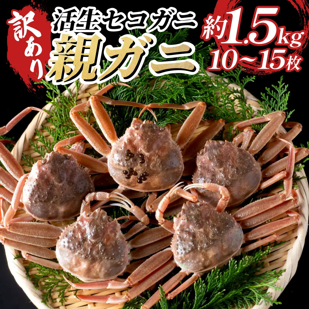 【22011-2】訳あり親がに（生）※お届けは2026年11月中旬～