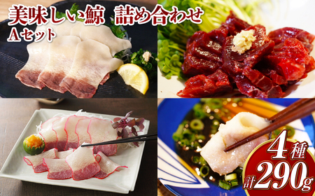 【7営業日以内発送】美味しい鯨 4種 詰め合わせ Aセット(小切れ170g・ベーコンスライス40g・すえひろスライス40g・さえずりスライス40g) くじら クジラ 刺身 ユッケ 長崎
