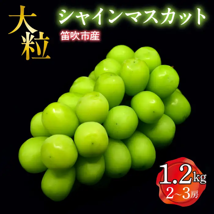 【2026年発送★先行予約】笛吹市産　大粒ｼｬｲﾝﾏｽｶｯﾄ　1.2㎏(2～3房) 227-002-26y