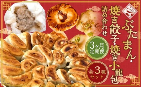 【全3回定期便】【詰め合わせ】ぶたまん 20個 × 焼餃子10個 × 焼小籠包8個 セット 詰合せ 惣菜 ぎょうざ 豚まん 豚饅 ギョーザ 中華 国産豚 豚肉 長崎