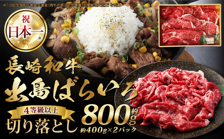長崎和牛 出島ばらいろ 切り落とし（モモ、 バラ、 カタのいずれか） 400g×2個入 計800g ／ 肉 お肉 牛肉 和牛 長崎和牛 出島ばらいろ 切り落とし 長崎県 長崎市