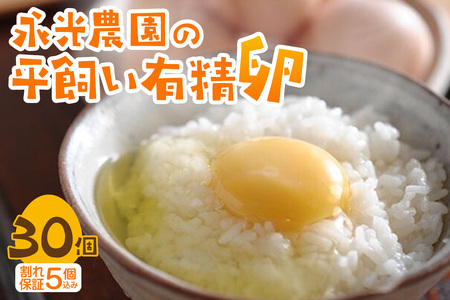 永光農園の平飼い有精卵　25個+割れ保証5個　たまご