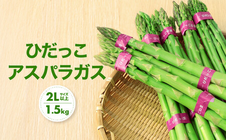 【2026年発送・先行受付】2Lサイズ以上 ひだっこアスパラガス 1.5kg | 産地直送 春 夏野菜 採れたて アスパラガス 人気 ひだっこの里 CM002VC01