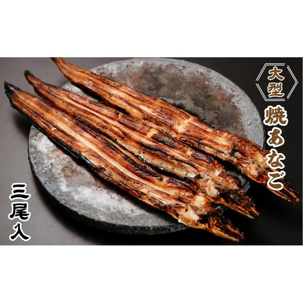 大型焼あなご 3尾
