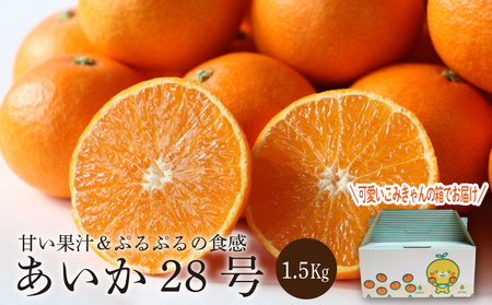 1/11発送☆紅まどんなと同品種 愛果28号 10kg L〜2L ① 楽天市場】【ふるさと納税】 愛果28号 ( 紅まどんな と同品種 ) 家庭用