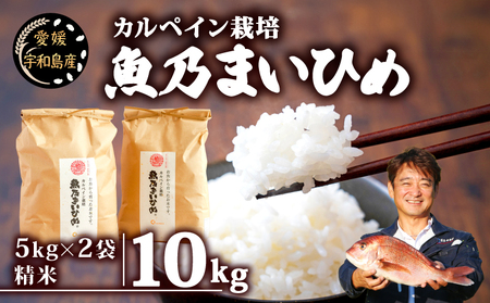 令和7年産 コシヒカリ 魚乃まいひめ カルペイン栽培 計10kg 5kg × 2袋 精米 秀長水産 精米 G032-016008