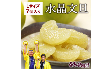 【先行予約】水晶文旦 Lサイズ 7個入り 約3kg〈2026年10月上旬?11月上旬頃発送〉  /  3キロ 果物 柑橘 フルーツ ぶんたん ブンタン みかん 分担 高知県土佐市 お取り寄せ 産地直送 おいしい 美味しい 返礼品【白木果樹園】 [BQAI016]