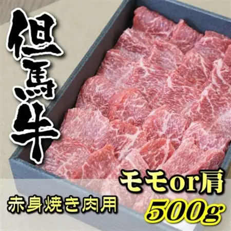 但馬牛 赤身焼き肉用(モモ又は肩)500g【配送不可地域：離島】【1046854】
