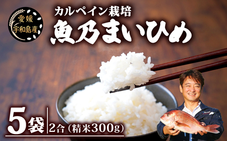 コシヒカリ 魚乃まいひめ カルペイン栽培 計 1升 2合 × 5袋 精米 秀長水産 お米 米 環境保全 カルペイン 鯛 真鯛 魚肥 使用 こめ コメ kome 小分け お弁当 弁当 おにぎり ふっくら ツヤツヤ 美味しい 甘い 備蓄 防災 産地直送 数量限定 国産 愛媛 宇和島 G012-016006