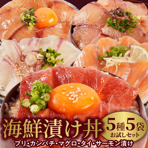 【冷凍】海鮮漬け丼5種お試しセット N019-YA192