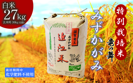 米  みずかがみ 白米 27kg ( 9kg × 3袋入 ) 2025年産 竜の舞 化学肥料不使用 特別栽培米 玄米 時容量 30kg (10kg × 3袋) 国産 安心 安全 近江米 米 お米 白米 お弁当 玄米 産地直送 滋賀県 竜王町 送料無料